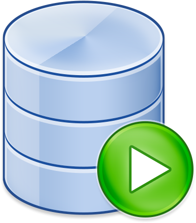 Oracle Server logo.